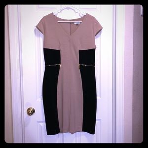 Color  Block Sheath Dress